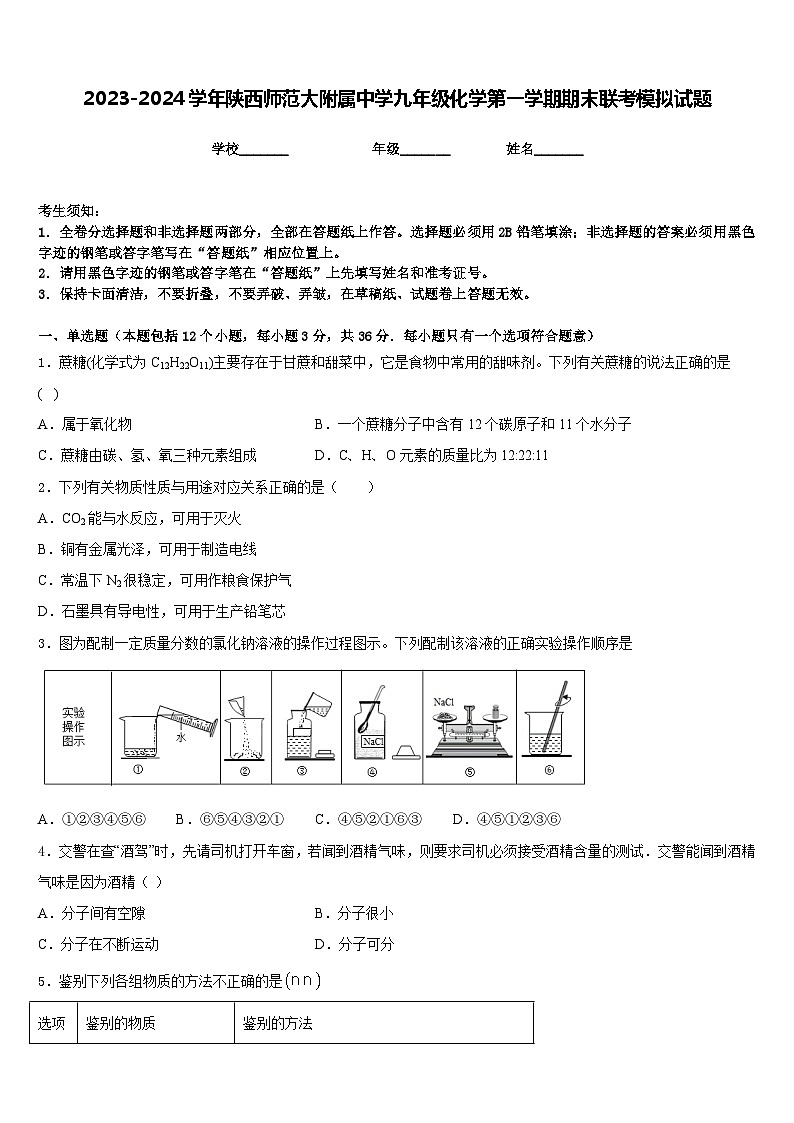 2023-2024学年陕西师范大附属中学九年级化学第一学期期末联考模拟试题含答案01