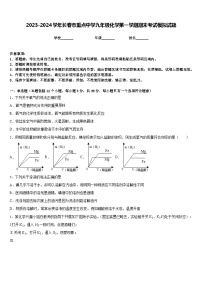 2023-2024学年长春市重点中学九年级化学第一学期期末考试模拟试题含答案