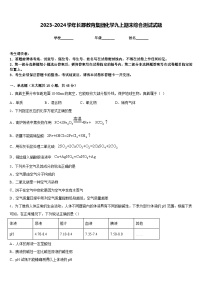 2023-2024学年长郡教育集团化学九上期末综合测试试题含答案