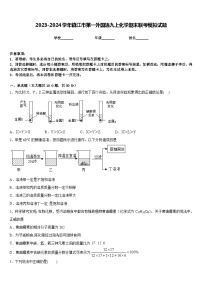 2023-2024学年镇江市第一外国语九上化学期末联考模拟试题含答案