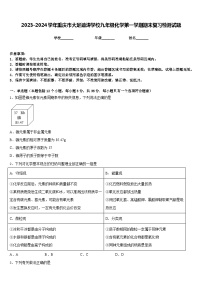 2023-2024学年重庆市大足迪涛学校九年级化学第一学期期末复习检测试题含答案