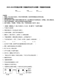 2023-2024学年重庆市第二外国语学校化学九年级第一学期期末检测试题含答案