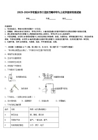 2023-2024学年重庆市江北区巴蜀中学九上化学期末检测试题含答案