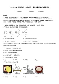 2023-2024学年重庆市九龙坡区九上化学期末质量检测模拟试题含答案