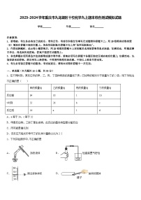 2023-2024学年重庆市九龙坡区十校化学九上期末综合测试模拟试题含答案