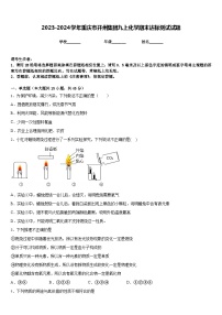 2023-2024学年重庆市开州集团九上化学期末达标测试试题含答案