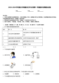 2023-2024学年重庆市荣昌区化学九年级第一学期期末经典模拟试题含答案