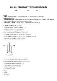 2023-2024学年重庆市渝北八中学化学九上期末达标测试试题含答案