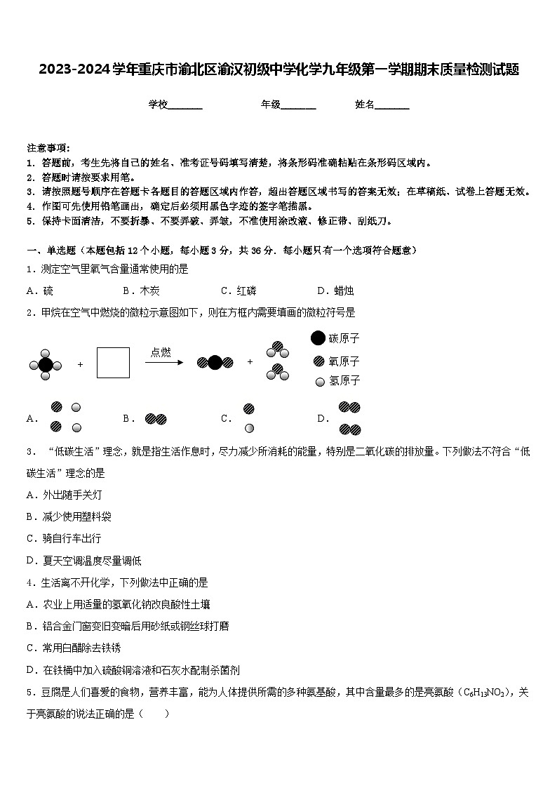 2023-2024学年重庆市渝北区渝汉初级中学化学九年级第一学期期末质量检测试题含答案01