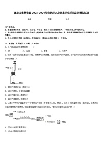 黑龙江省萝北县2023-2024学年化学九上期末学业质量监测模拟试题含答案