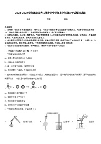 2023-2024学年黑龙江大庆第十四中学九上化学期末考试模拟试题含答案