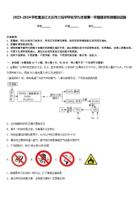 2023-2024学年黑龙江大庆市三站中学化学九年级第一学期期末检测模拟试题含答案