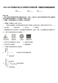 2023-2024学年黑龙江省八五八农场学校九年级化学第一学期期末质量跟踪监视试题含答案