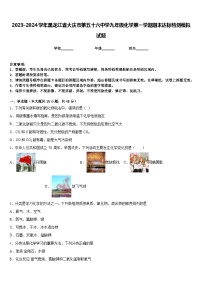 2023-2024学年黑龙江省大庆市第五十六中学九年级化学第一学期期末达标检测模拟试题含答案