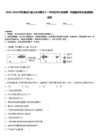 2023-2024学年黑龙江省大庆市第五十一中学化学九年级第一学期期末综合测试模拟试题含答案