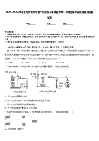 2023-2024学年黑龙江省哈尔滨市呼兰区九年级化学第一学期期末学业质量监测模拟试题含答案