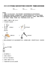 2023-2024学年黑龙江省哈尔滨市平房区九年级化学第一学期期末达标检测试题含答案