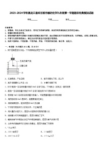 2023-2024学年黑龙江省哈尔滨市顺迈化学九年级第一学期期末经典模拟试题含答案