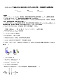 2023-2024学年黑龙江省哈尔滨市松北区九年级化学第一学期期末统考模拟试题含答案