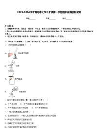 2023-2024学年青岛市化学九年级第一学期期末监测模拟试题含答案