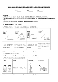 2023-2024学年黑龙江省密山市实验中学九上化学期末复习检测试题含答案