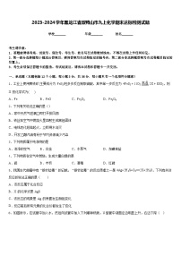 2023-2024学年黑龙江省双鸭山市九上化学期末达标检测试题含答案