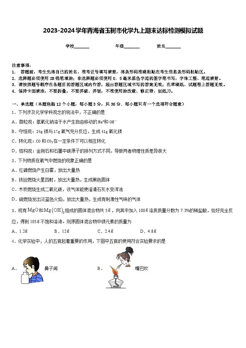 2023-2024学年青海省玉树市化学九上期末达标检测模拟试题含答案第1页