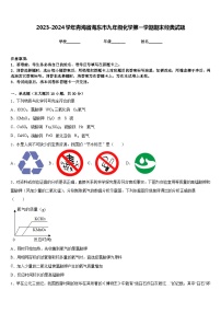 2023-2024学年青海省海东市九年级化学第一学期期末经典试题含答案