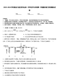 2023-2024学年黑龙江省五常市山林一中学化学九年级第一学期期末复习检测模拟试题含答案