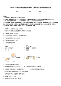 2023-2024学年青海省重点中学九上化学期末达标检测模拟试题含答案