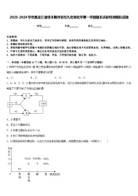 2023-2024学年黑龙江省佳木斯市名校九年级化学第一学期期末达标检测模拟试题含答案