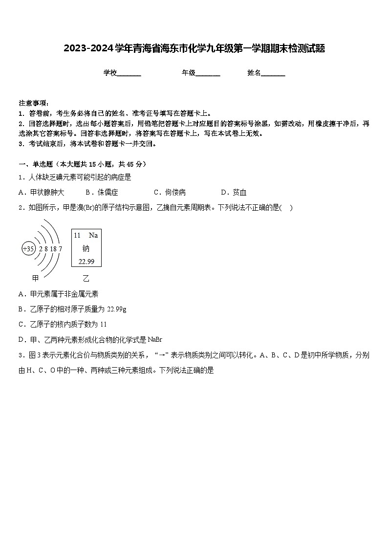 2023-2024学年青海省海东市化学九年级第一学期期末检测试题含答案第1页