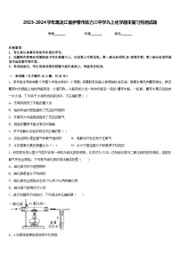 2023-2024学年黑龙江省伊春市铁力三中学九上化学期末复习检测试题含答案