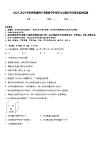 2023-2024学年青海省西宁市海湖中学化学九上期末学业质量监测试题含答案