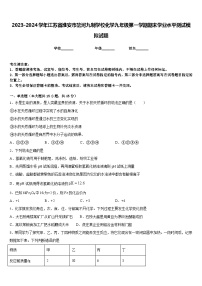 2023-2024学年江苏省淮安市岔河九制学校化学九年级第一学期期末学业水平测试模拟试题含答案