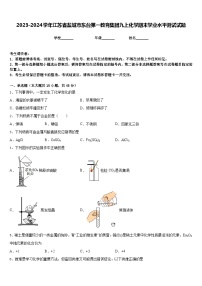 2023-2024学年江苏省盐城市东台第一教育集团九上化学期末学业水平测试试题含答案