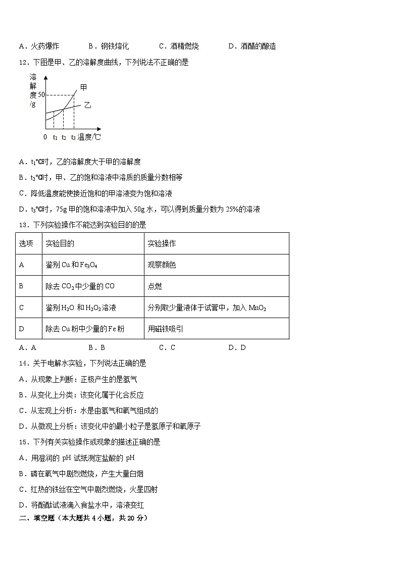 2023-2024学年江苏省盐城中学化学九年级第一学期期末学业水平测试模拟试题含答案第3页