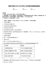 内蒙古乌海市2023-2024学年九上化学期末质量跟踪监视试题含答案