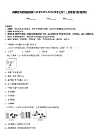 内蒙古乌拉特前旗第六中学2023-2024学年化学九上期末复习检测试题含答案