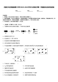 内蒙古乌拉特前旗第三中学2023-2024学年九年级化学第一学期期末达标检测试题含答案