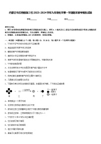 内蒙古乌拉特前旗三校2023-2024学年九年级化学第一学期期末联考模拟试题含答案