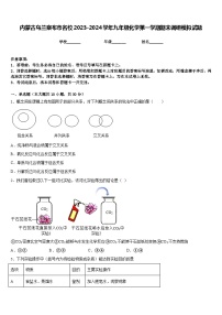 内蒙古乌兰察布市名校2023-2024学年九年级化学第一学期期末调研模拟试题含答案