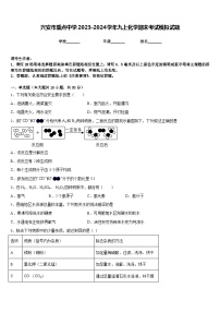 兴安市重点中学2023-2024学年九上化学期末考试模拟试题含答案