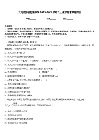 云南省楚雄北浦中学2023-2024学年九上化学期末预测试题含答案