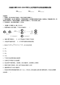 云南省大理市2023-2024学年九上化学期末学业质量监测模拟试题含答案