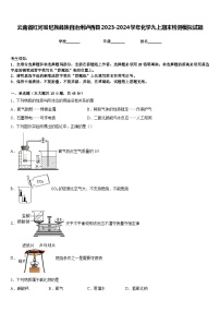 云南省红河哈尼族彝族自治州泸西县2023-2024学年化学九上期末检测模拟试题含答案