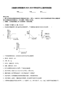 云南省红河州弥勒市2023-2024学年化学九上期末检测试题含答案