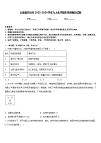 云南省开远市2023-2024学年九上化学期末检测模拟试题含答案