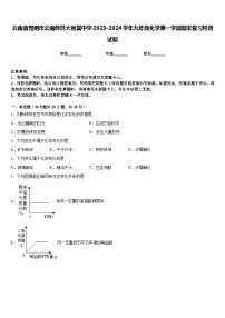 云南省昆明市云南师范大附属中学2023-2024学年九年级化学第一学期期末复习检测试题含答案