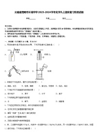 云南省昆明市长城中学2023-2024学年化学九上期末复习检测试题含答案